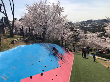 ひらかたパークに投稿された画像（2022/4/5）