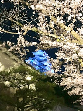 姫路城（イベント）に投稿された画像（2022/4/5）