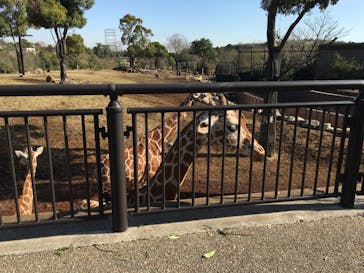 よこはま動物園ズーラシアに投稿された画像（2022/4/5）