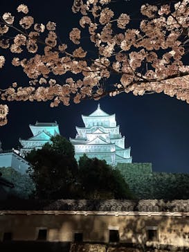 姫路城（イベント）に投稿された画像（2022/4/5）