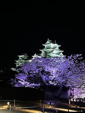 姫路城（イベント）に投稿された画像（2022/4/5）
