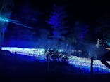 KYOTO ILLUMINATION SYNESTHESIA HILLS るり渓温泉に投稿された画像（2022/4/6）