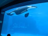 名古屋港水族館に投稿された画像（2022/4/6）