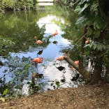 ネオパークオキナワに投稿された画像（2022/4/6）