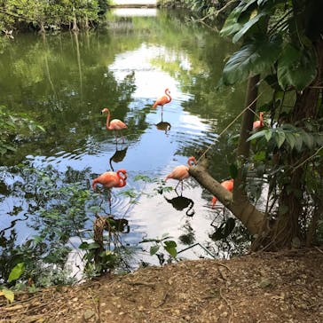 ネオパークオキナワに投稿された画像（2022/4/6）