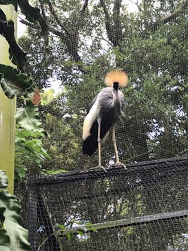 ネオパークオキナワに投稿された画像（2022/4/6）