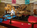 国立科学博物館　特別企画展「ポケモン化石博物館」に投稿された画像（2022/4/6）