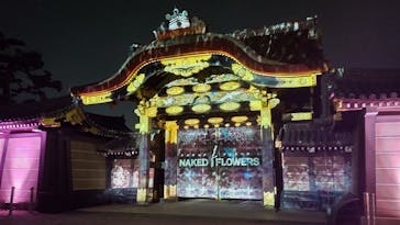 NAKED FLOWERS 2022 -桜- 世界遺産・二条城に投稿された画像（2022/4/6）