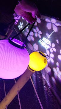 NAKED FLOWERS 2022 -桜- 世界遺産・二条城に投稿された画像（2022/4/6）