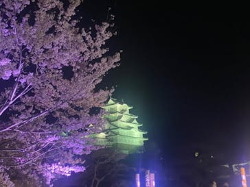 姫路城（イベント）に投稿された画像（2022/4/6）
