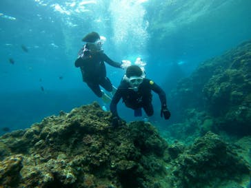 DIVING-SHOP SUNSに投稿された画像（2022/4/6）