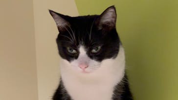 Moff animal world MARK IS みなとみらい店に投稿された画像（2022/4/6）