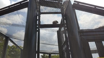 沖縄こどもの国に投稿された画像（2022/4/6）