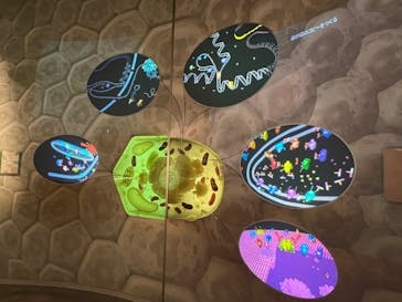 国立科学博物館に投稿された画像（2022/4/6）