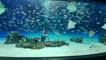サンシャイン水族館に投稿された画像（2022/4/6）