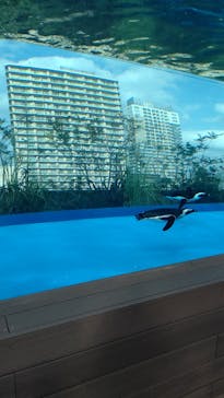サンシャイン水族館に投稿された画像（2022/4/6）