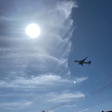 航空科学博物館に投稿された画像（2022/4/6）