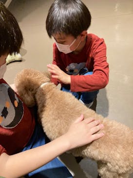 Moff animal world MARK IS みなとみらい店に投稿された画像（2022/4/6）