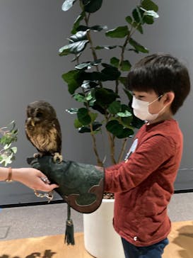 Moff animal world MARK IS みなとみらい店に投稿された画像（2022/4/6）