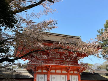 京阪電車に投稿された画像（2022/4/6）