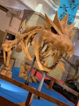 国立科学博物館　特別企画展「ポケモン化石博物館」に投稿された画像（2022/4/6）