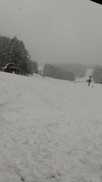 Hakuba47ウィンタースポーツパークに投稿された画像（2022/4/6）