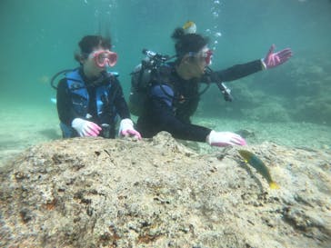 武藤潜水に投稿された画像（2022/4/6）