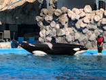 名古屋港水族館に投稿された画像（2022/4/6）