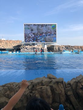 名古屋港水族館に投稿された画像（2022/4/6）