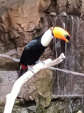 カワスイ 川崎⽔族館に投稿された画像（2022/4/6）