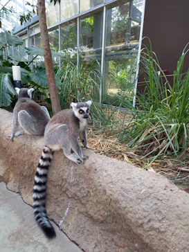 神戸どうぶつ王国に投稿された画像（2022/4/6）