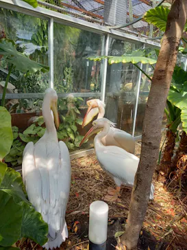 神戸どうぶつ王国に投稿された画像（2022/4/6）