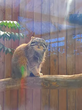 神戸どうぶつ王国に投稿された画像（2022/4/6）