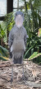 神戸どうぶつ王国に投稿された画像（2022/4/6）