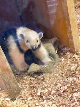 神戸どうぶつ王国に投稿された画像（2022/4/6）
