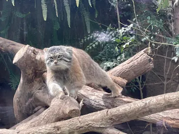 神戸どうぶつ王国に投稿された画像（2022/4/6）