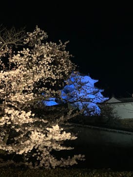 姫路城（イベント）に投稿された画像（2022/4/6）