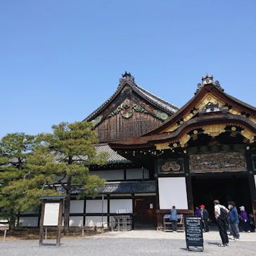 元離宮二条城に投稿された画像（2022/4/6）