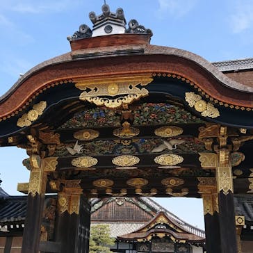 元離宮二条城に投稿された画像（2022/4/6）