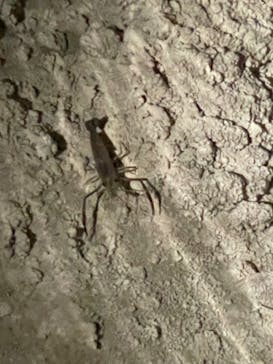 おきなわワールドに投稿された画像（2022/4/6）