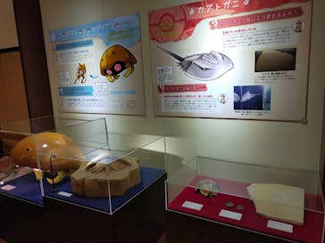 国立科学博物館　特別企画展「ポケモン化石博物館」に投稿された画像（2022/4/6）