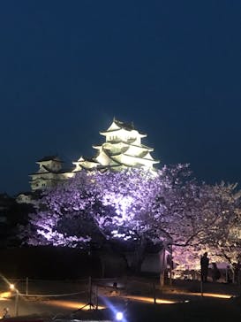 姫路城（イベント）に投稿された画像（2022/4/6）