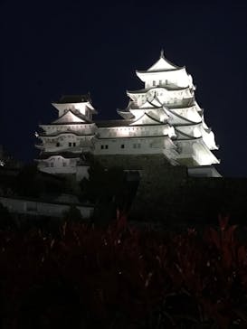 姫路城（イベント）に投稿された画像（2022/4/6）