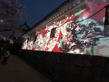 姫路城（イベント）に投稿された画像（2022/4/6）