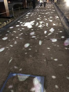 姫路城（イベント）に投稿された画像（2022/4/6）