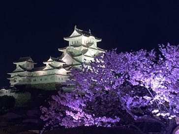 姫路城（イベント）に投稿された画像（2022/4/6）