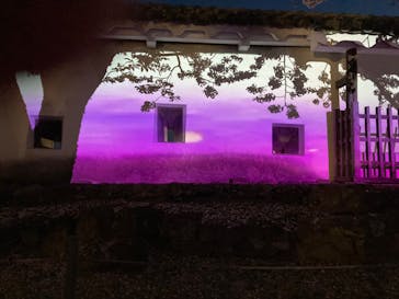 姫路城（イベント）に投稿された画像（2022/4/6）