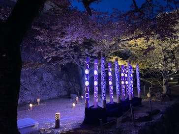 姫路城（イベント）に投稿された画像（2022/4/6）