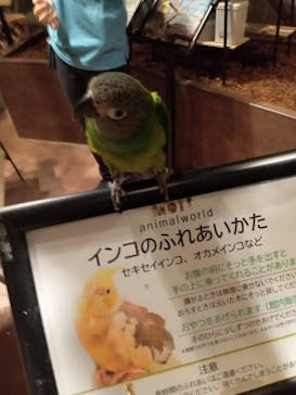 Moff animal world MARK IS みなとみらい店に投稿された画像（2022/4/6）