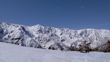 白馬八方尾根スキー場に投稿された画像（2022/4/6）